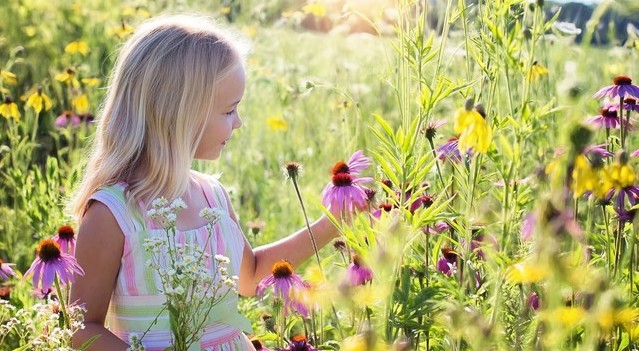 Formation en ligne - Soignez NATURELLEMENT les petits maux de vos enfants