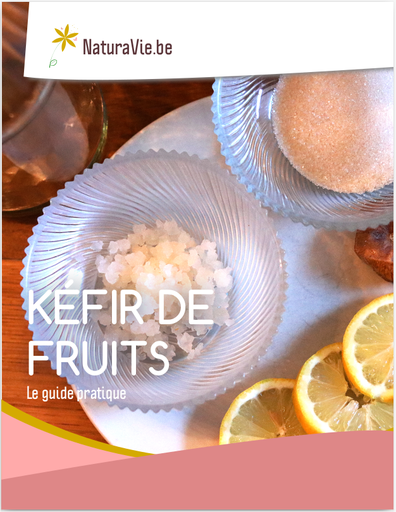 KÉFIR DE FRUITS - Le guide pratique